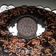 Cooksnap dari Rina Julianti untuk resep Brownies Oreo 2 bahan tanpa mixer