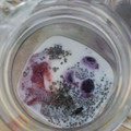 Cooksnap dari Dapur Ibu Rumah Tangga untuk resep Overnight Oats In A Jar