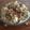 El cooksnap de mariam1234 cuando hizo Coliflor con bacon y leche evaporada.