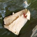 Cooksnap dari Ummu Karim untuk resep Gadon Ikan Kembung Mpasi 9+ (tinggi kalori dan tinggi protein)