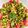 Drashti geriya's cooksnap of when they made Every day healthy salad.