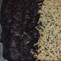 Cooksnap dari Esther Apriliany untuk resep Fudgy shiny crust brownie