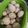 Cooksnap dari Yosefin Lumbantoruan untuk resep Onde onde isi inti kelapa #selasaBisa