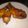 รูป Cooksnap ของ Heng Yi Keng เมื่อเขาทำ ไก่ย่าง(ในเตาอบ)