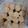 Cooksnap dari Nur Ike PraTiwi untuk resep Peanut Butter Cookies