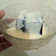 Cooksnap dari Fenty Soedjoed untuk resep Fla Pudding Homemade