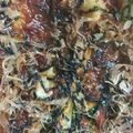 Cooksnap dari Nurina Widyastutie untuk resep Okonomiyaki