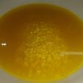 Cooksnap από Δέσποινα Καρπούζα στη συνταγή Τραχανάς σκορδάτος