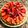 El cooksnap de María Arias cuando hizo Base de tarta dulce.