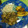 El cooksnap de Jonathan Rojas cuando hizo Pechugas de Pollo en Mi Salsa.