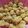 Cooksnap dari mommy sonia untuk resep Bakso ayam gurih dijamin g failed