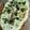 Sukla Sil's cooksnap of when they made গার্লিক বাটার নান (Garlic butter naan recipe in bengali).