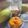 Shweta Bajaj's cooksnap of when they made Gratted mango pickle (spicy).