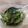 Cooksnap dari Fitry Fee untuk resep Sambel Cabe Ijo Daun Jeruk