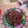 El cooksnap de Fernando Francisco Baeza Navarrete cuando hizo Galletas navideñas.