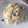 El cooksnap de Patricia cuando hizo Risotto con setas.