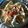 Asha Sharma's cooksnap of when they made Hakka noodles.