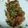 ００ 的 免炸椒鹽雞翅 cooksnap