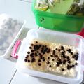 Cooksnap dari Nashikhatul Arifah untuk resep Stup Roti Keju