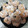 El cooksnap de Mudito Cocinero cuando hizo Rosquillas de anís.