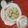 Janki K Mer's cooksnap of when they made ઉપમા (Upma Recipe In Gujarati).