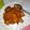 Cooksnap dari Nyanyak Erika untuk resep Kari Ayam Khas Aceh