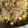 Sukla Sil's cooksnap of when they made পনির চাউ (paneer chow recipe in Bengali).