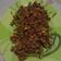 Cooksnap dari Titing Widowati68 untuk resep Buncis Siram Daging Cincang Mudah/ Tumis Buncis Daging Cincang