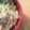 Cooksnap dari Zya untuk resep Creamy Fettucine Carbonara