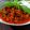 Cooksnap dari Alfi untuk resep Tongkol suwir kemangi