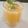 ushma prakash mevada's cooksnap of when they made આમ પન્ના (Aam Panna Recipe In Gujarati).