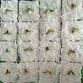 Cooksnap dari Ida Tohari untuk resep Cake Potong Pandan Keju