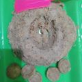 Cooksnap dari Shofia Hidayat Sutisna untuk resep Bolu pisang kukus super lembut