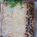 Cooksnap dari Tina ( Santi ) untuk resep 302. Bolu Pisang Panggang