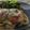 Mommyluvs2cook's cooksnap of when they made Italian Chicken.