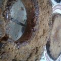 El cooksnap de Mapache Zeta cuando hizo Torta húmeda de manzanas y peras.