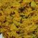 Nitesh Tandon का कुकस्नैप जब उन्होंने वेजिटेबल पुलाव (Vegetable pulao recipe in hindi) बनाया था।