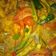 Cooksnap dari Saina Tumangger Komi untuk resep Ikan bawal bumbu kuning