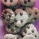 Cooksnap dari DapurMinnie untuk resep Cookies Goodtime