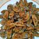 Cooksnap dari Malisa untuk resep Kerang hijau saus Padang