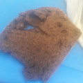 El cooksnap de Fiona O'connor cuando hizo Torta de café y cacao amargo.