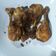 Cooksnap dari Uly untuk resep Ayam goreng bumbu ungkep