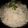  Chef Richa pathak. का कुकस्नैप जब उन्होंने जीरा राइस (jeera rice recipe in Hindi) बनाया था।