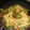 El cooksnap de Anye Melchor cuando hizo Noodles con brócoli, champiñón y zanahoria.