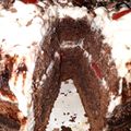 El cooksnap de evelyn cuando hizo Torta selva negra.