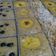 Cooksnap dari VEE LOUIS untuk resep Very Banana Cake..No Mixer..1 Telur