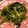 Claudia Chen 的 炒地瓜葉 cooksnap