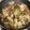 陳姵伶 的 紅燒獅子頭（全素） cooksnap