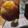 El cooksnap de Ana Claudia Acosta cuando hizo Manzana acaramelada🤩.