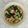 Cooksnap dari Daesy Nathasya untuk resep Tumis pokcoy saus tiram